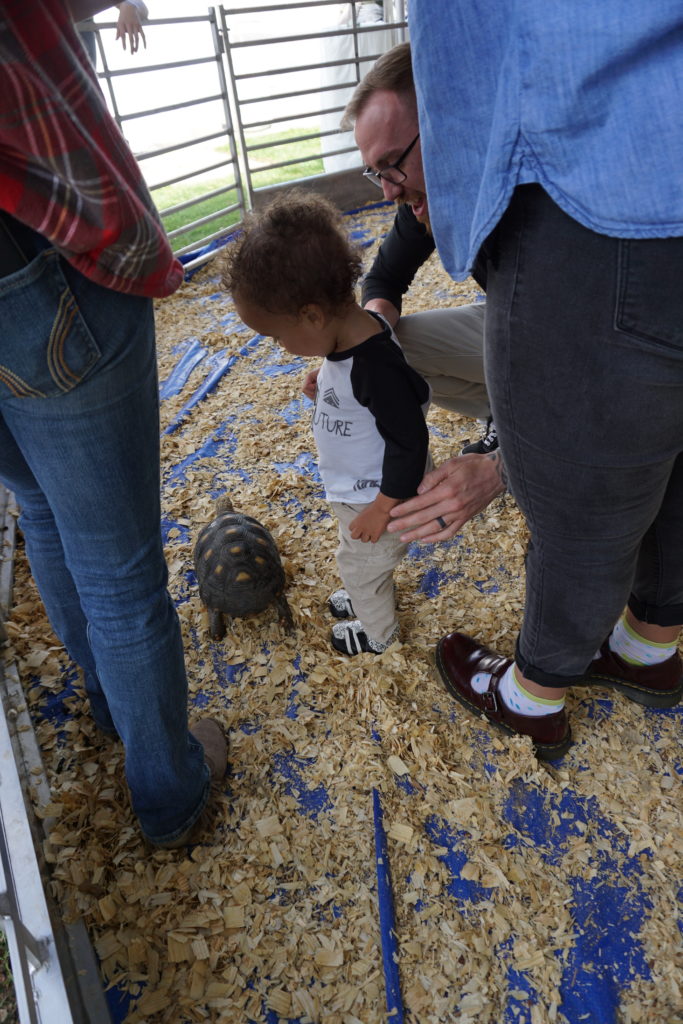 petting zoo at earthX in dallas, TX with Tiny Green Earthling, Greyson King - via old world new