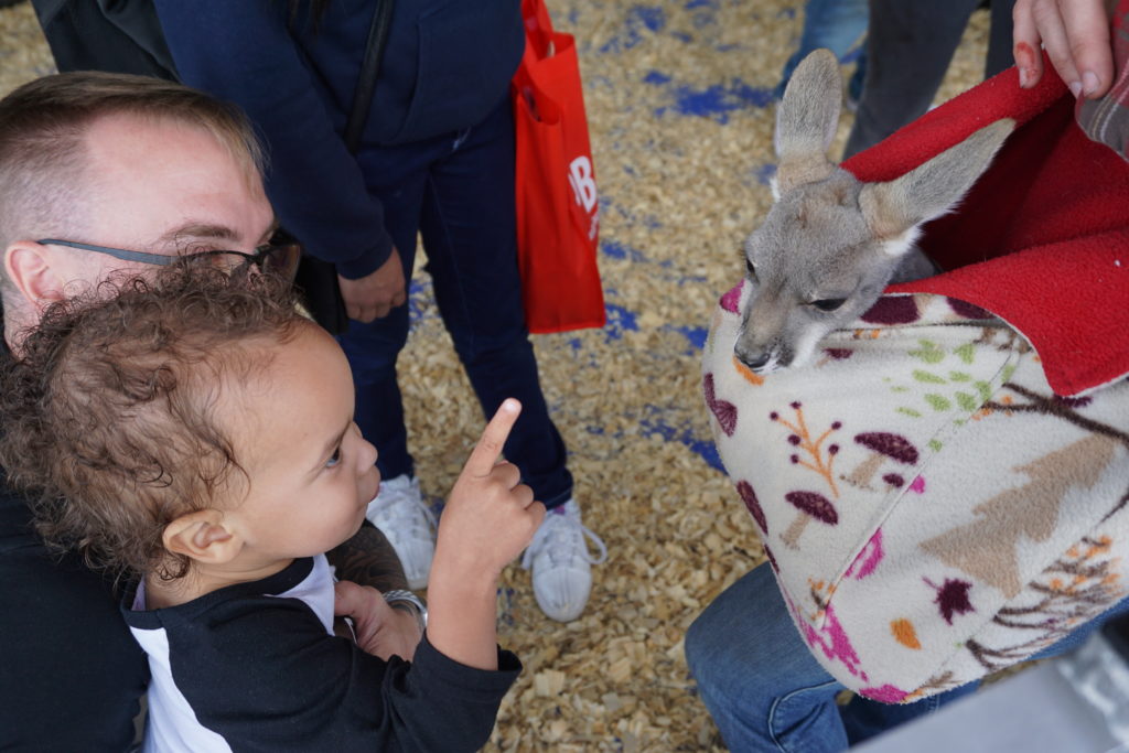petting zoo at earthX in dallas, TX with Tiny Green Earthling, Greyson King - via old world new
