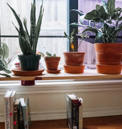 Ridiculously Easy DIY Plant Stand