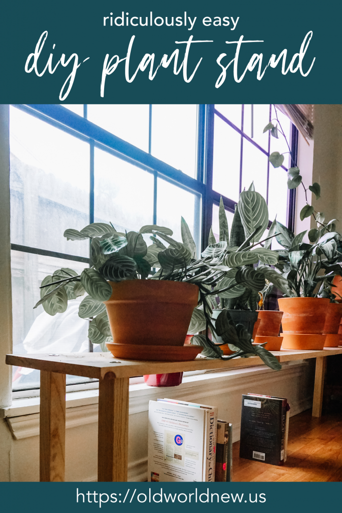 easy DIY plant stand