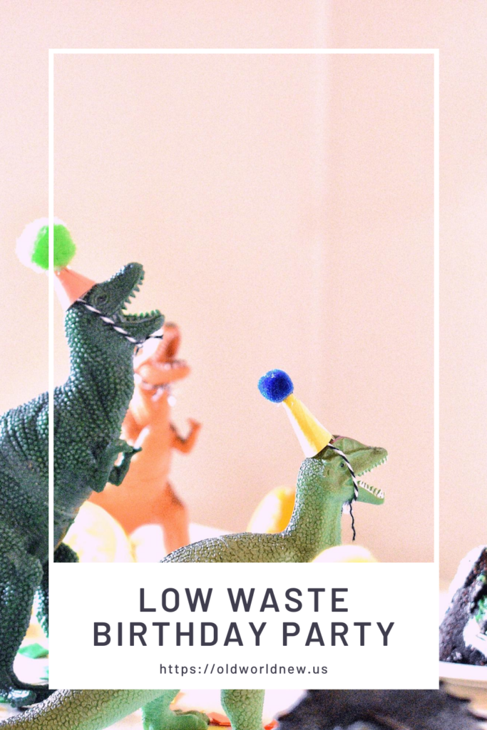 low waste birthday party experience