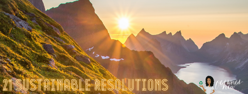 21 sustainable resolutions 2021 - Old World New