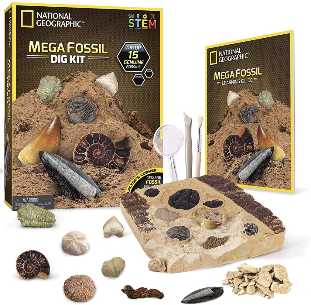 national geographic mega fossil dig kit
